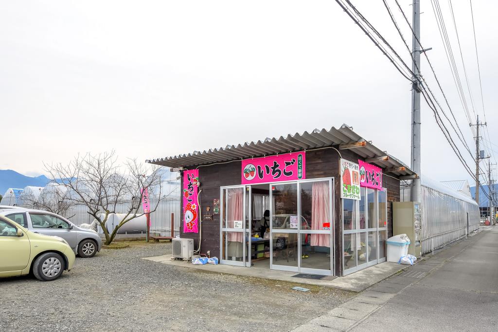 こまざわフルーツファーム 笛吹市 観光農園・フルール狩り