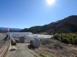 いちご狩り 三座 岡農園