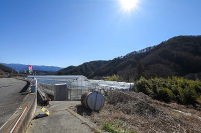 いちご狩り 三座 岡農園 山梨市 観光農園・フルーツ狩り