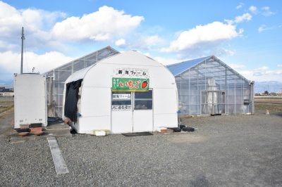 新海ファーム 中央市 観光農園・フルーツ狩り