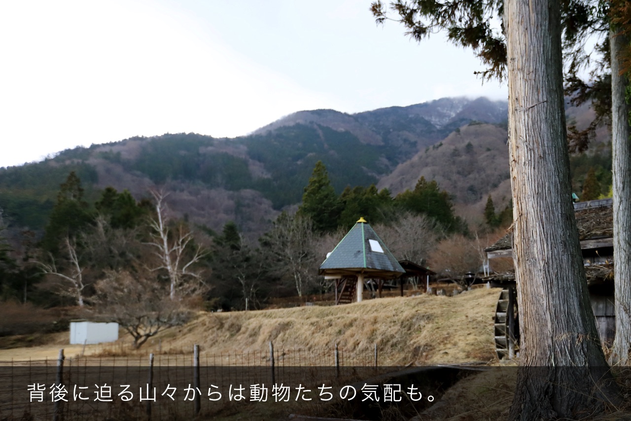 背後に迫る山々からは動物たちの気配も。