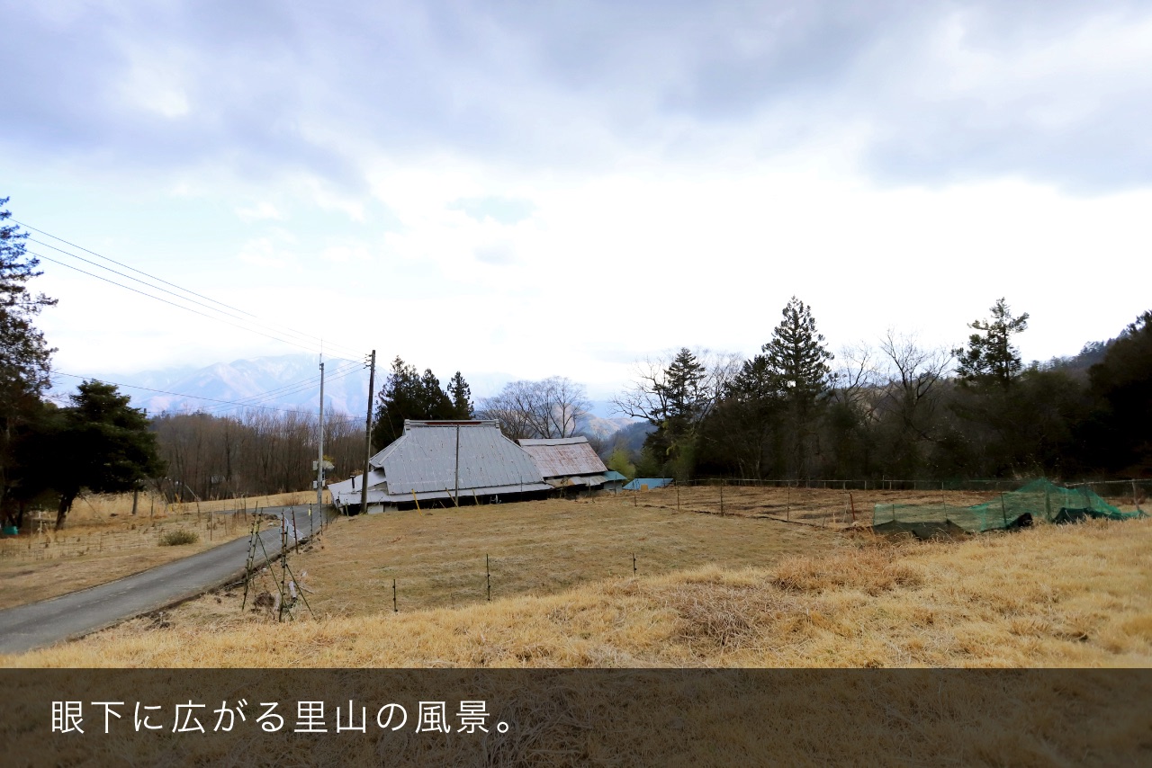 眼下に広がる里山の風景。