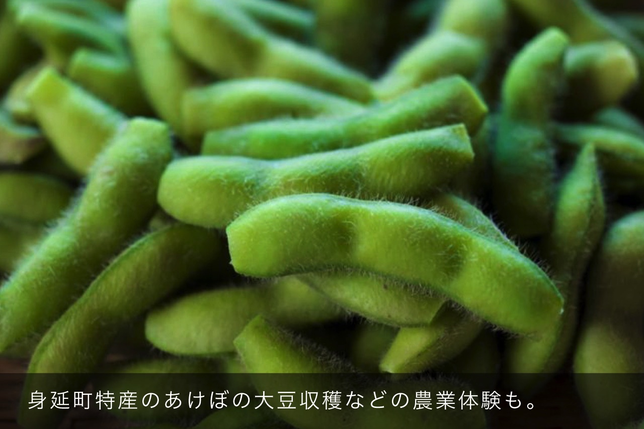 身延町特産のあけぼの大豆収穫などの農業体験も。