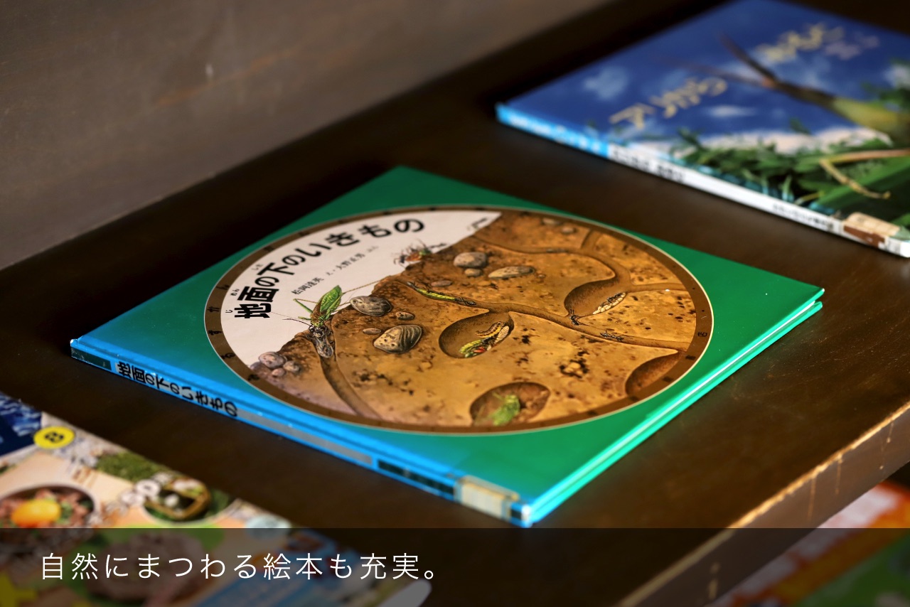 自然にまつわる絵本も充実。