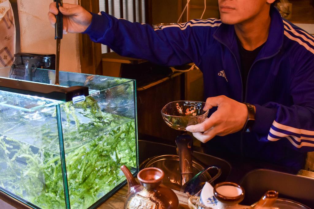 沖縄酒場 じゃや