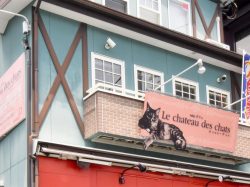 Le chateau des chats