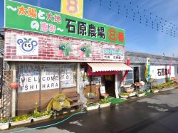～太陽と大地の恵み～⑧番 石原農場