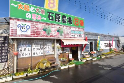 太陽と大地の恵み⑧番 石原農場 甲府市 観光農園・フルーツ狩り