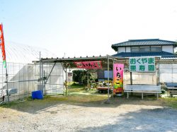 おくやま果寿園