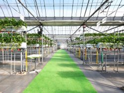 おくやま果寿園 甲州市 観光農園・フルーツ狩り