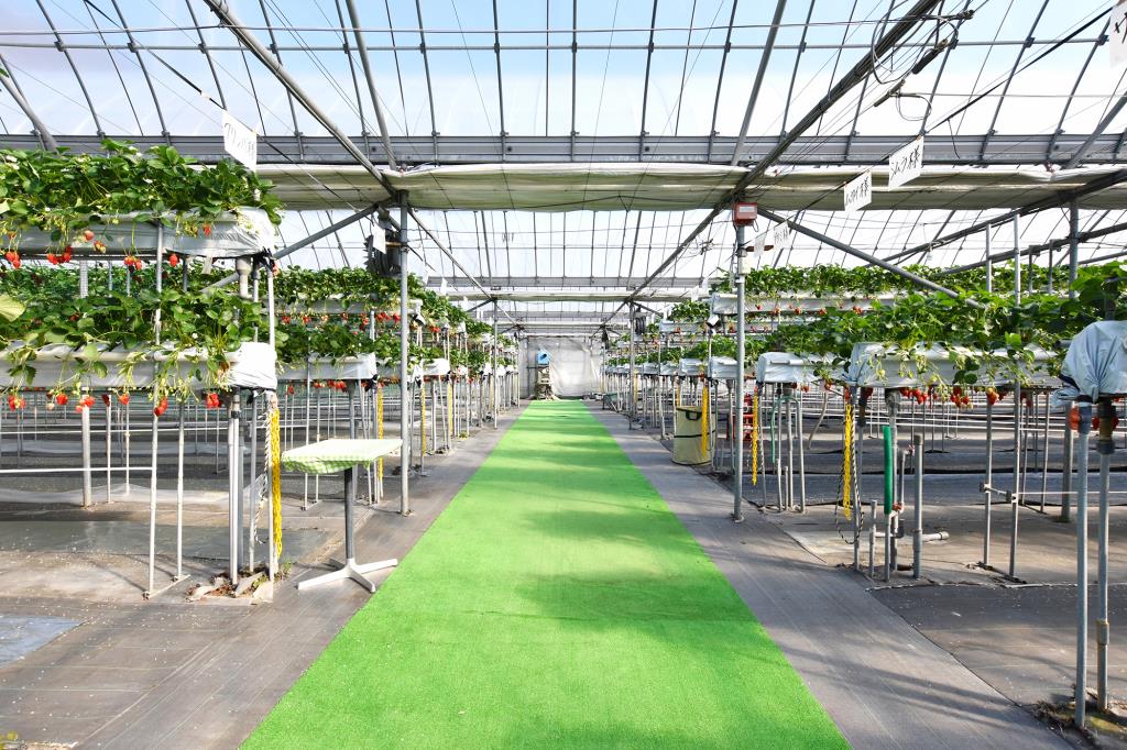 おくやま果寿園 甲州市 観光農園・フルーツ狩り