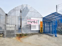 竜太園 甲州市 観光農園・フルーツ狩り