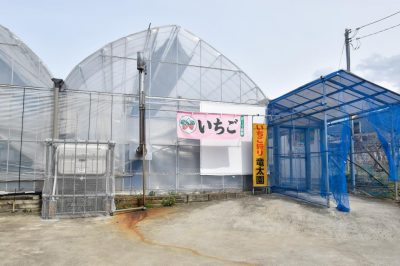 竜太園 甲州市 観光農園・フルーツ狩り