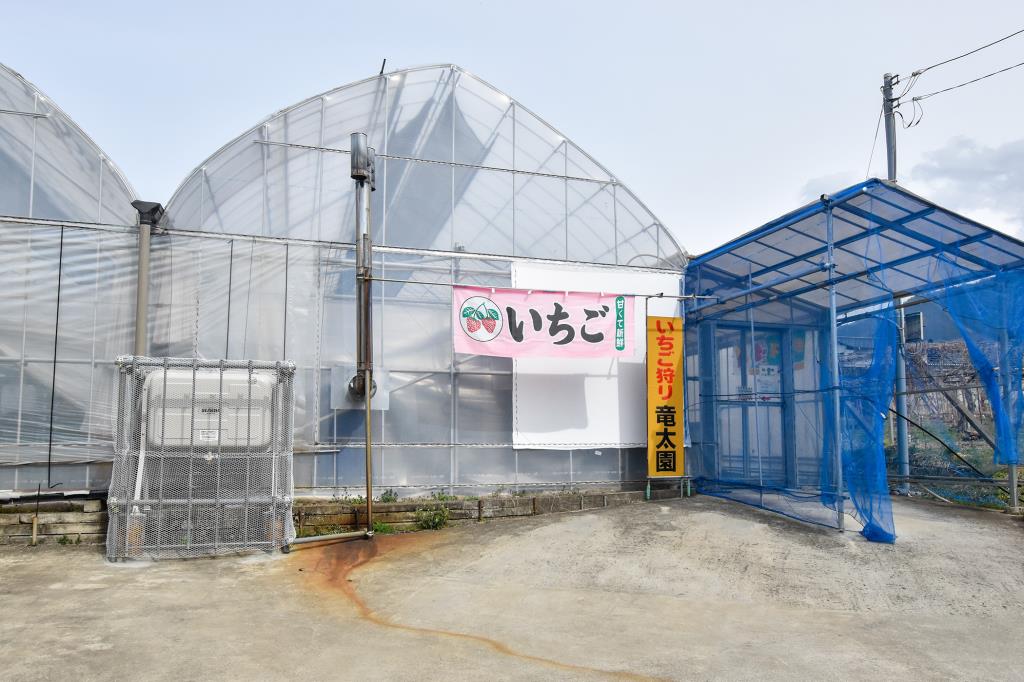 竜太園 甲州市 観光農園・フルーツ狩り