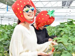 竜太園 甲州市 観光農園・フルーツ狩り