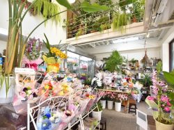 フラワーショップ泉屋 山梨市 花屋4