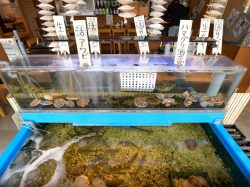 海鮮問屋 鮮然 居酒屋 昭和4