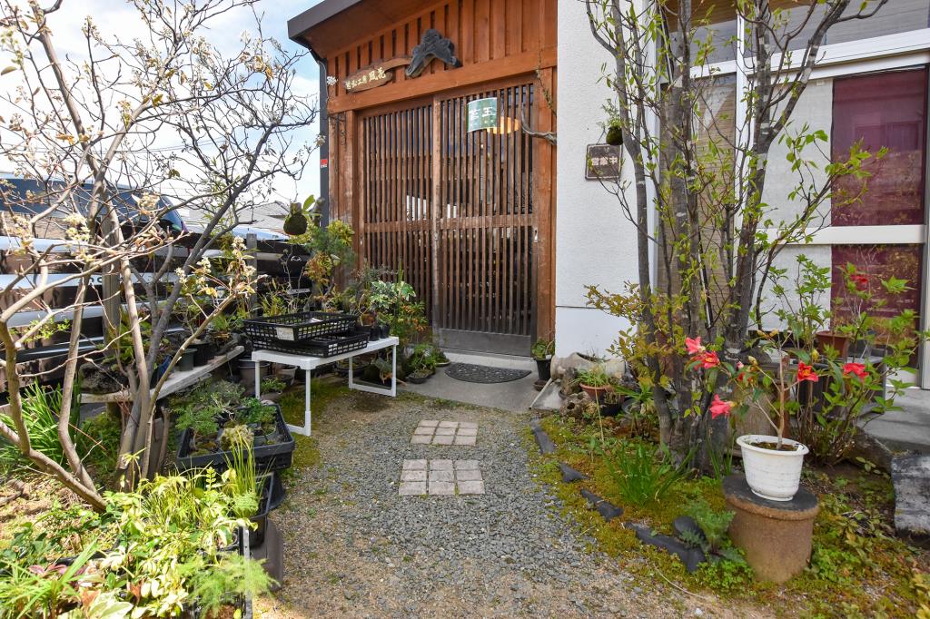 苔玉工房 風花 甲府 ガーデニング