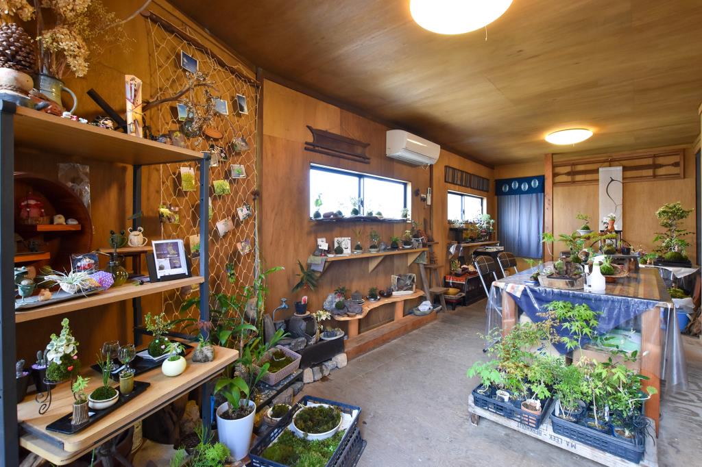 苔玉工房 風花 甲府 ガーデニング