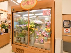 四季彩