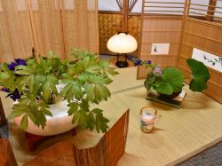 撫子 西桂町 和食