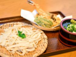 手打ちうどん ふじえ