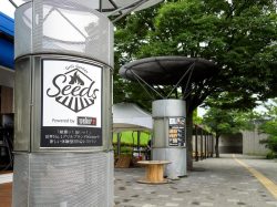 Grill Garden Seeds