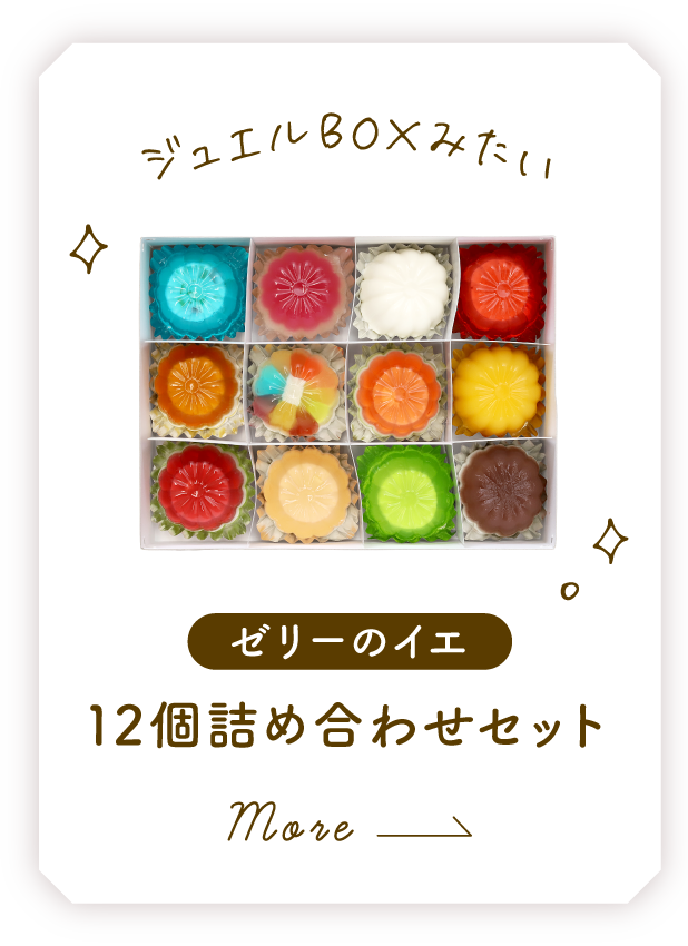 ゼリーのイエ 12個詰め合わせセット
