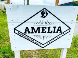 AMELIA