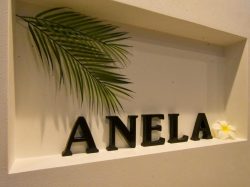 Anela 富士吉田市 エステ・ボディケア