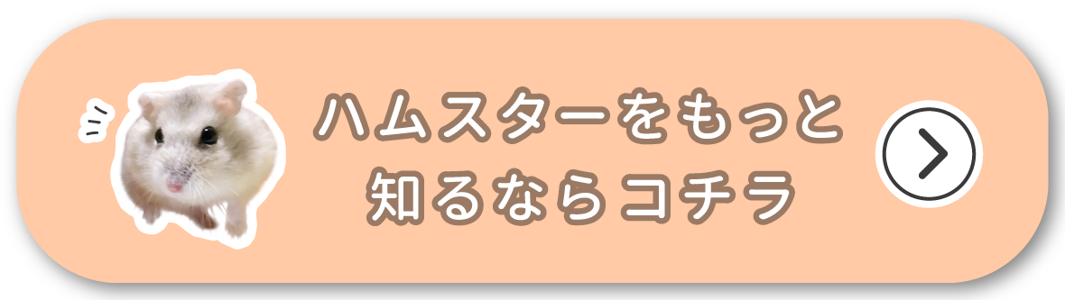 ハムスターをもっと知るならコチラ