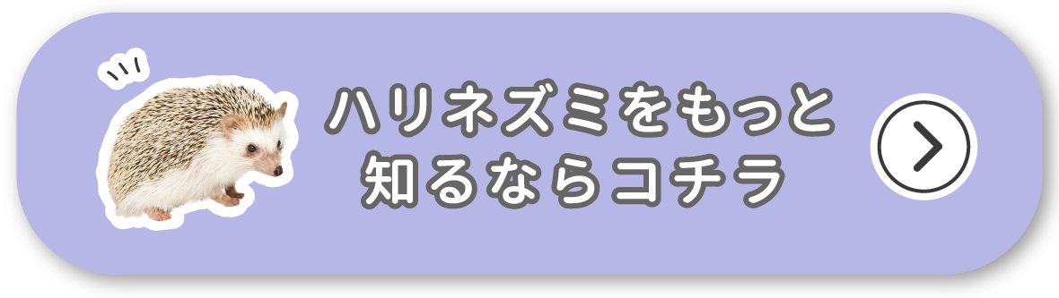 ハリネズミをもっと知るならコチラ