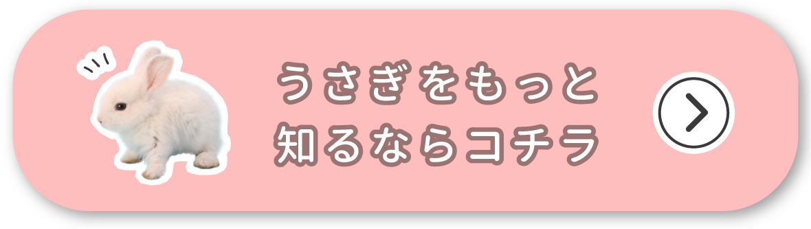 うさぎをもっと知るならコチラ