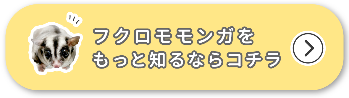 フクロモモンガをもっと知るならコチラ