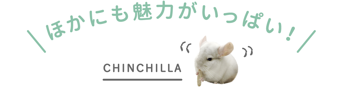 ほかにも魅力がいっぱい！