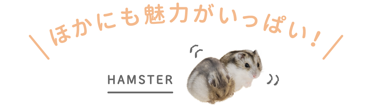 ほかにも魅力がいっぱい！