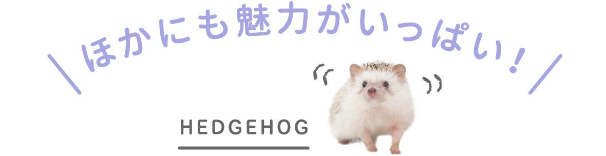 ほかにも魅力がいっぱい！