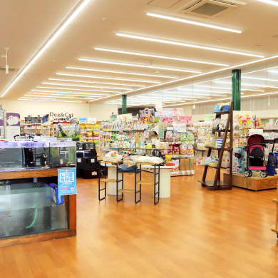 ペットフィールド新平和通り店の店内1