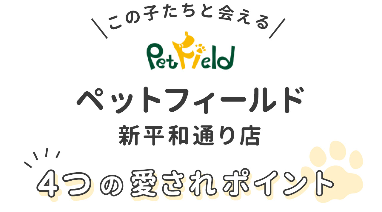 ペットフィールド新平和通り店 4つの愛されポイント
