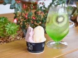 ドッググッズ&カフェ NATURALLY 甲府 アパレル・小物・雑貨・飲み物