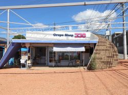 Grape Shop ココロ 笛吹市 カフェ・スイーツ