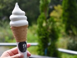 9 Soft cream【閉店】