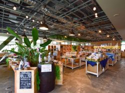 太陽と山のお土産場 さんさんマルシェ【閉店】
