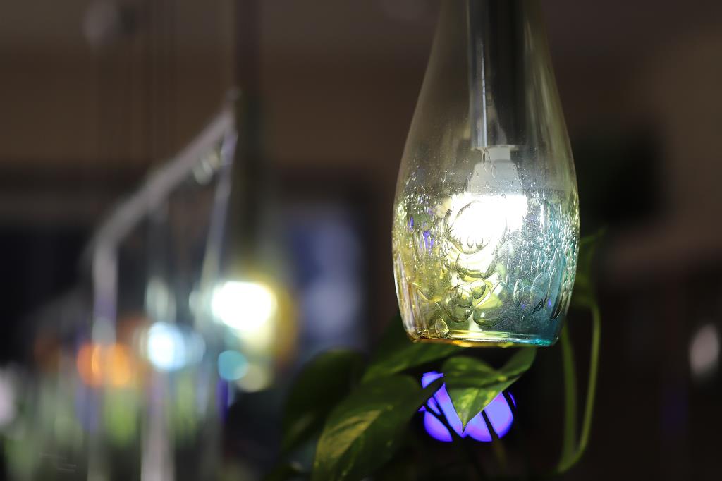 café de lala 写真1