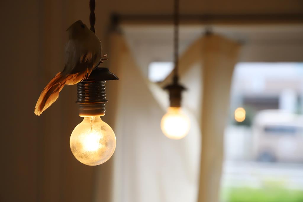 Café cotogoto 写真12