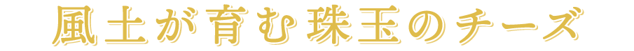 風土が育む珠玉のチーズ