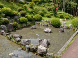 すげのレジャー 都留市 キャンプ