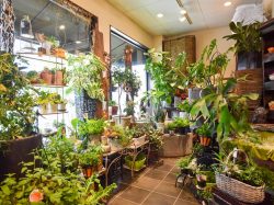 flower goto 甲府市 花屋
