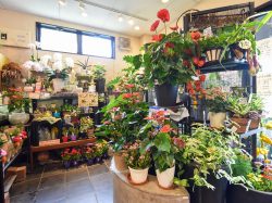 flower goto 甲府市 花屋