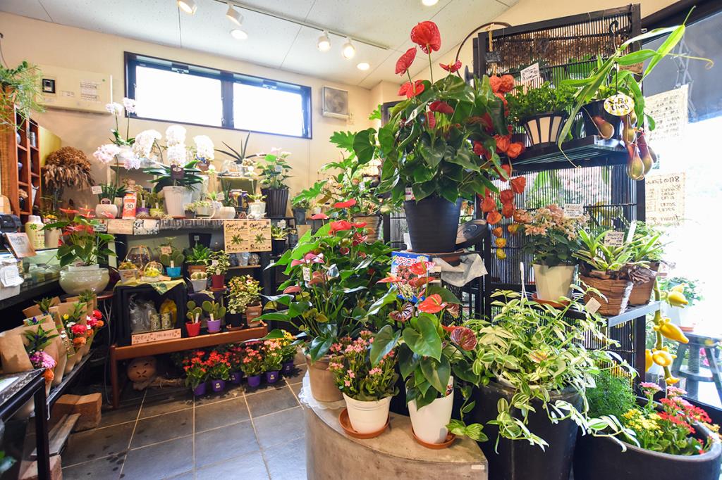 flower goto 甲府市 花屋